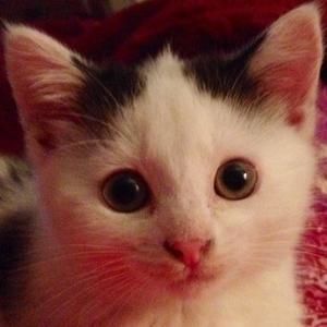 Meet your Posher, Jill